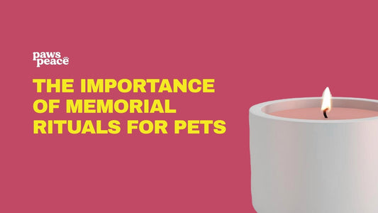 The Importance of Memorial Rituals for Pets: Honoring, Healing, and Remembering Our Beloved Companions | Paws Peace