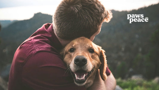 Coping Mechanisms for Pet Loss: 10 Practical Tips | Paws Peace
