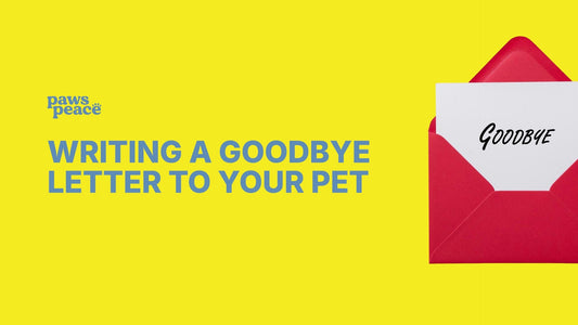 Writing a Goodbye Letter to Your Pet