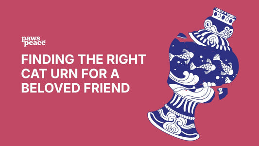 Finding the Right Cat Urn for a Beloved Friend