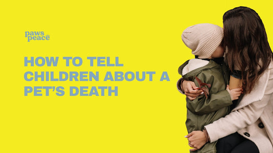 How to Tell Children About a Pet’s Death: A Gentle, Honest Guide | PawsPeace