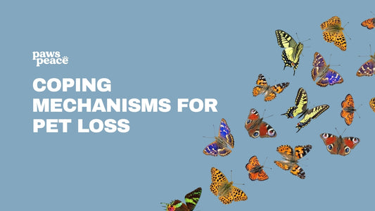 Coping Mechanisms for Pet Loss: 10 Practical Tips | Paws Peace
