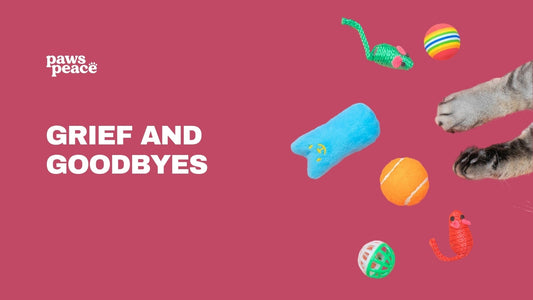 A Compassionate Guide Through Pet Loss