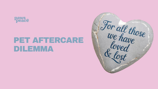 Pet Aftercare Dilemma: Burial or Cremation