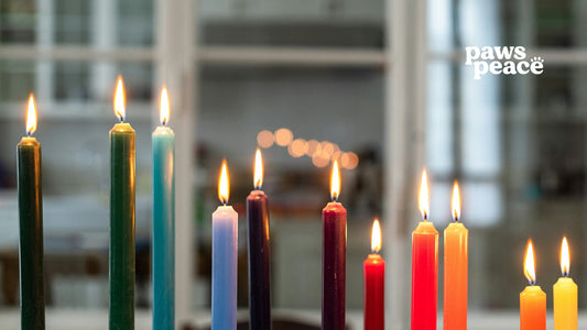 The Importance of Memorial Rituals for Pets: Honoring, Healing, and Remembering Our Beloved Companions | Paws Peace