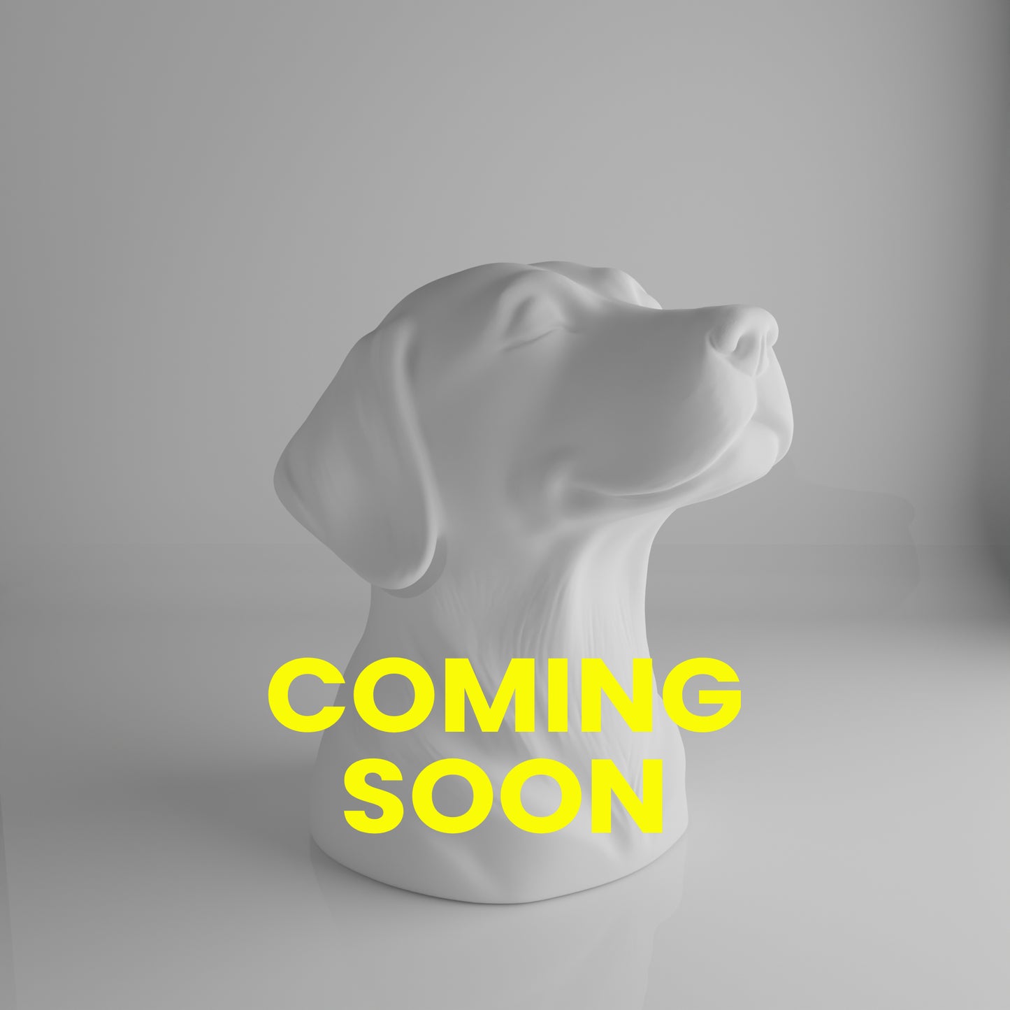 The Canis | Dog Urn